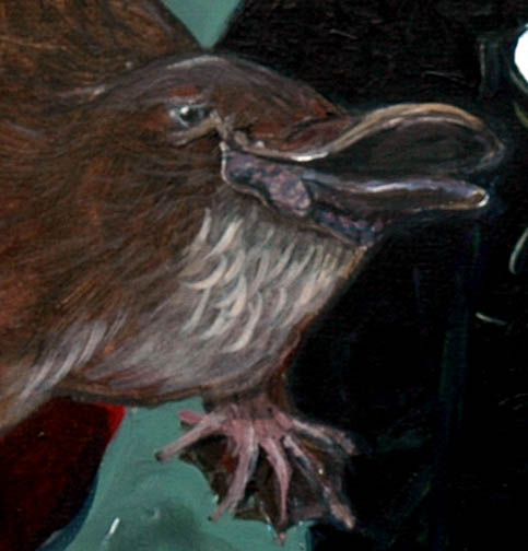 platypus taxonomy