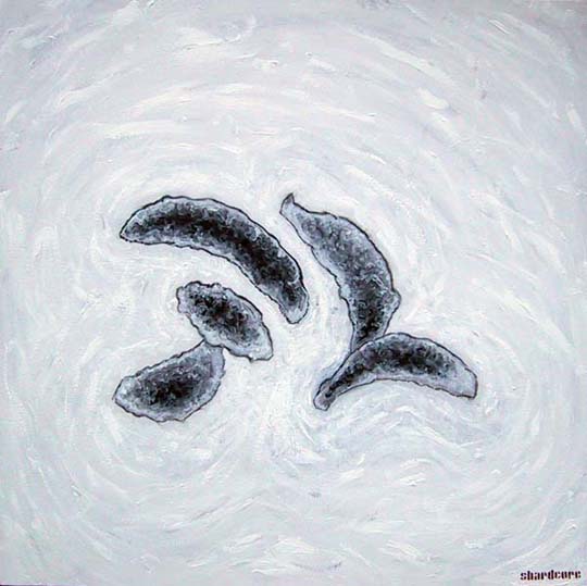 Toxoplasma