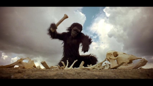 The Dawn of Man 2001