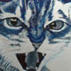 Monty dislikes the neighbours new dog intensely (2009) acrylic & spray on canvas 600mm x 600mm