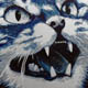 Mr. Frisky is alarmed by the sudden ringing of your iPhone (2009) acrylic & spray on canvas 600mm x 600mm